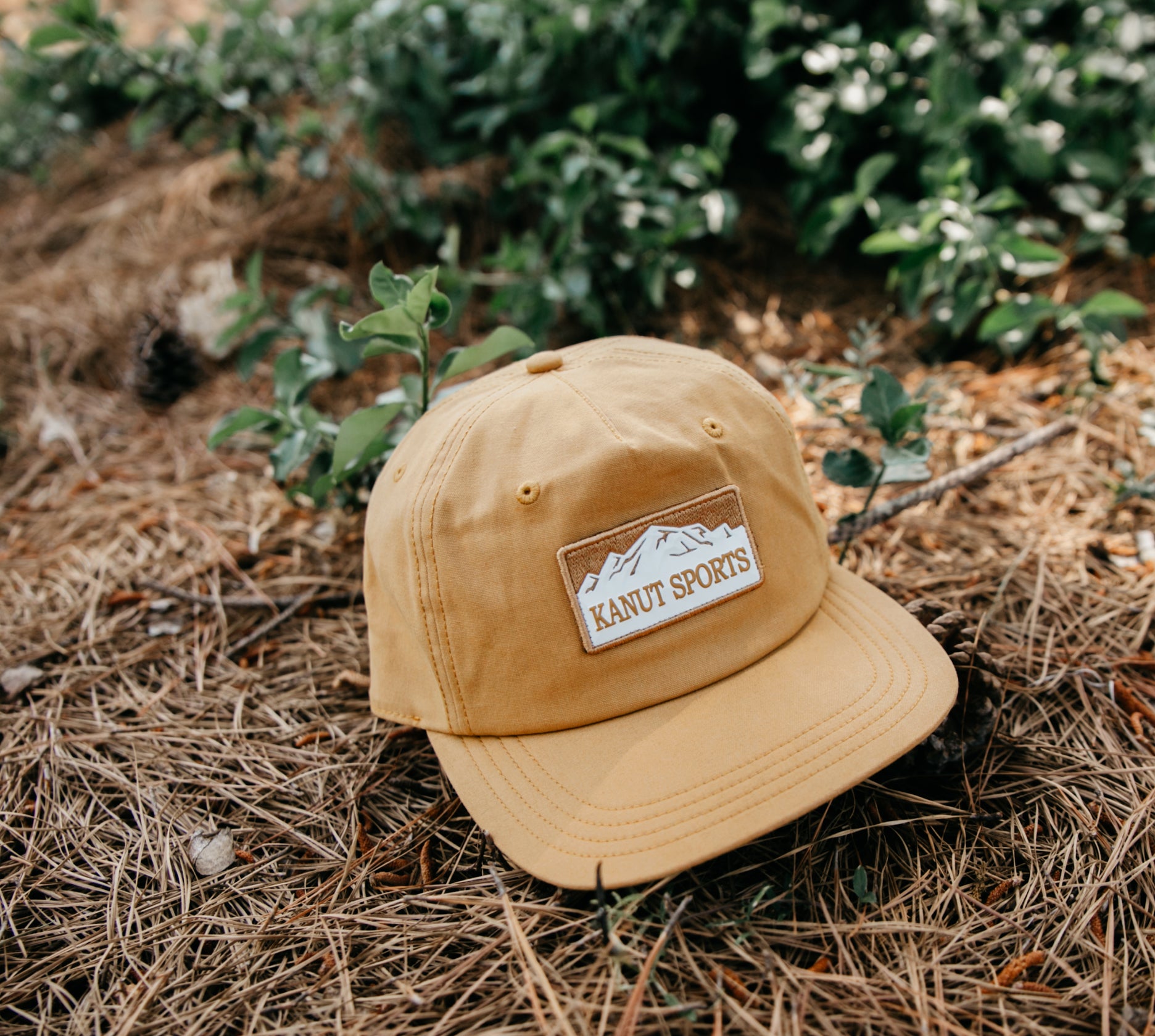 Lemhi Baseball Caps