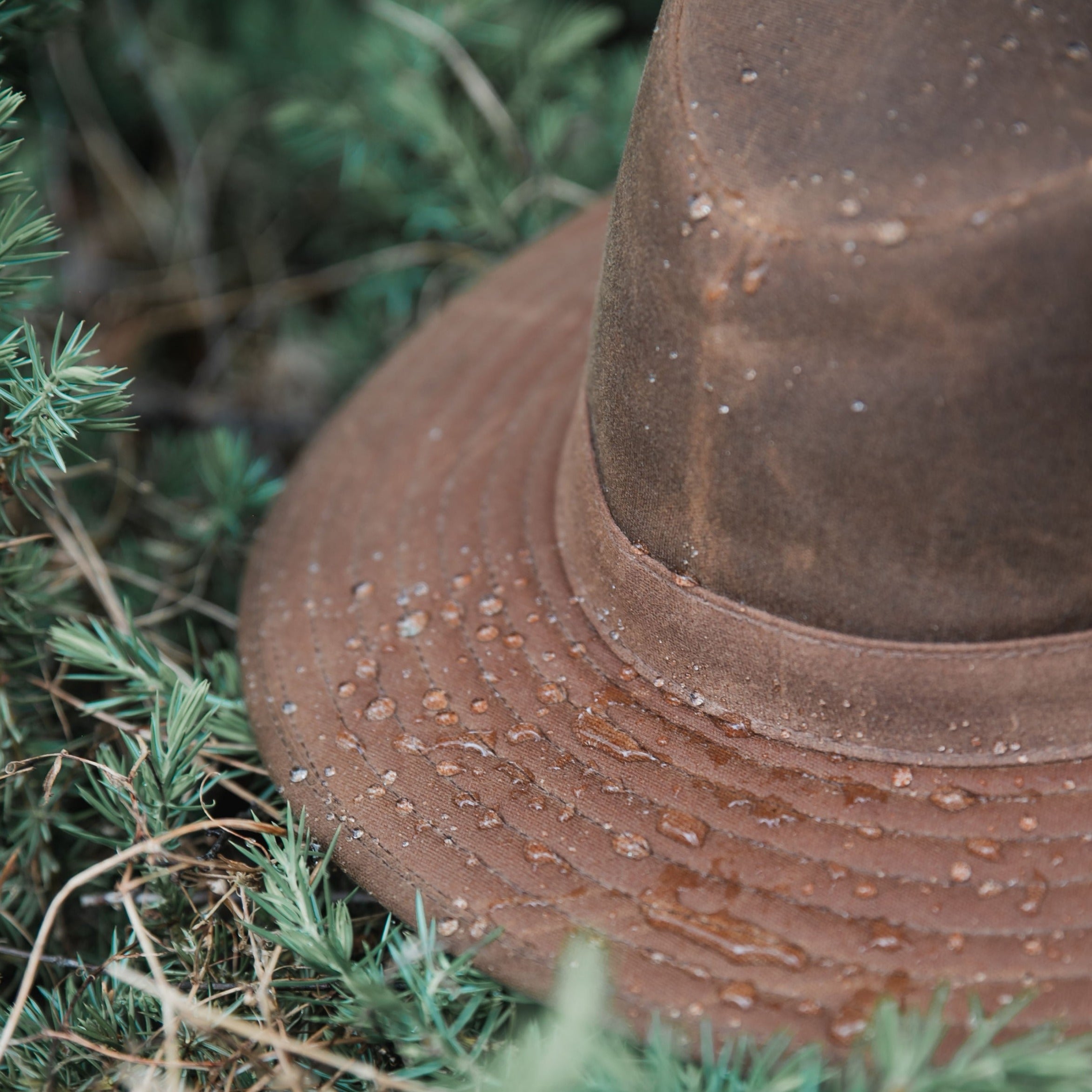 Delano Waxed Cotton Hat